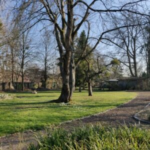 Zu sehen ist die Freifäche im Grünen für Gruppenübungen und Bioenergetik bei Workshops und Gestalttherapie Outdoor in Mannheim im stadtökologischen Zentrum, einem tollen Veranstaltungsort in der Natur und stadtnah