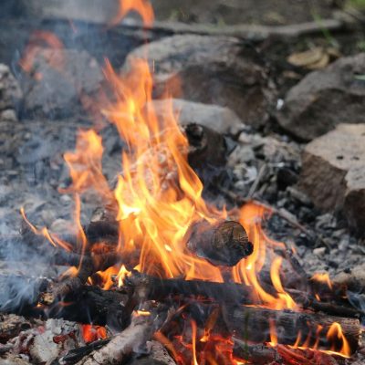 orangefarbene Flamme eines wilden Lagerfeuers in der Natur als outdoor event vom Gestaltcamp Mannheim mit romantischer Atmosphäre.