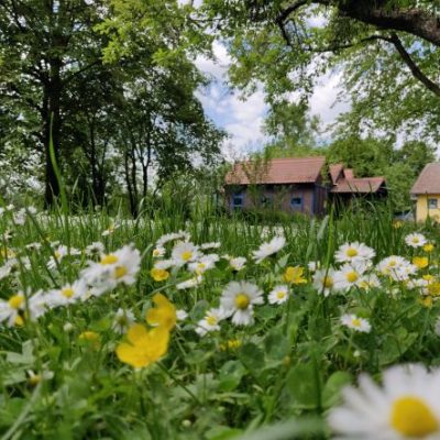 Schöne Location am Stollenwörthweiher in Mannheim. Naturnah und doch in der Stadt finden im Gestaltcamp von Jennifer Schumacher-Hetzel tolle Outdoor Workshops statt.